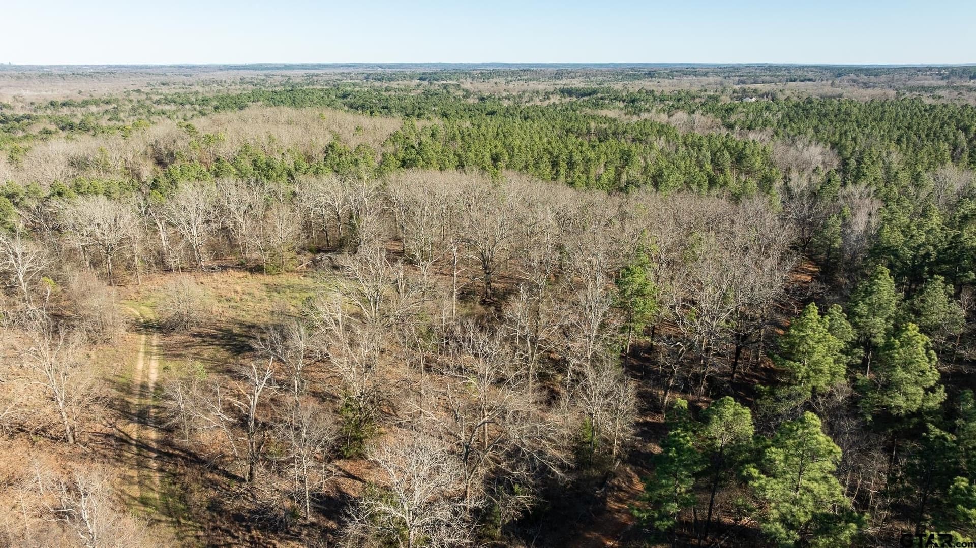 228.8 acres in Van Zandt County - photo 23