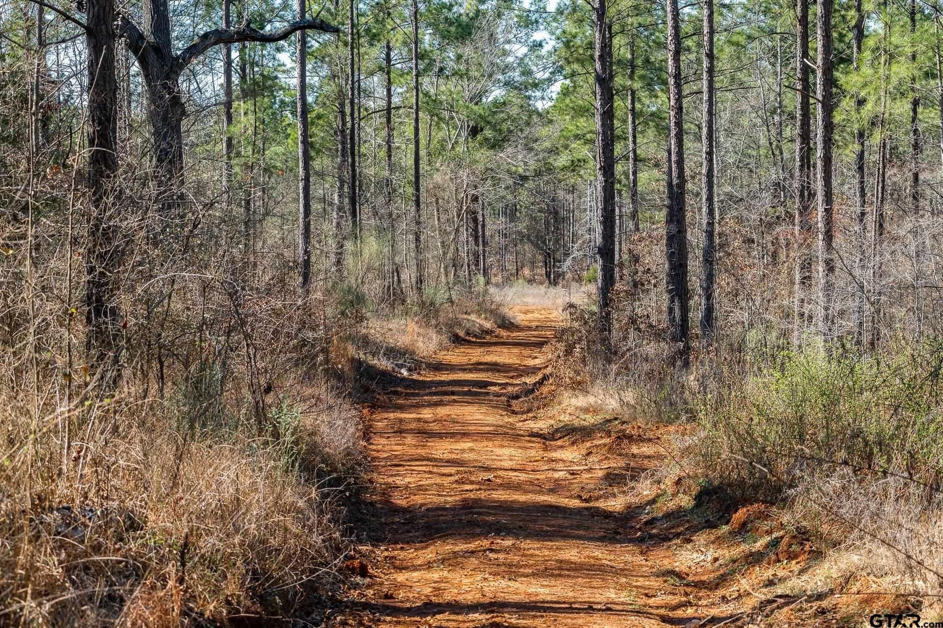 228.8 acres in Van Zandt County - photo 5