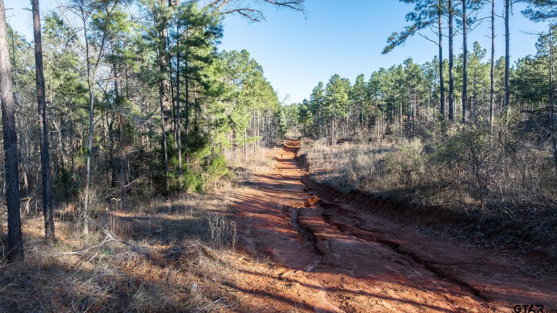228.8 acres in Van Zandt County - photo 28