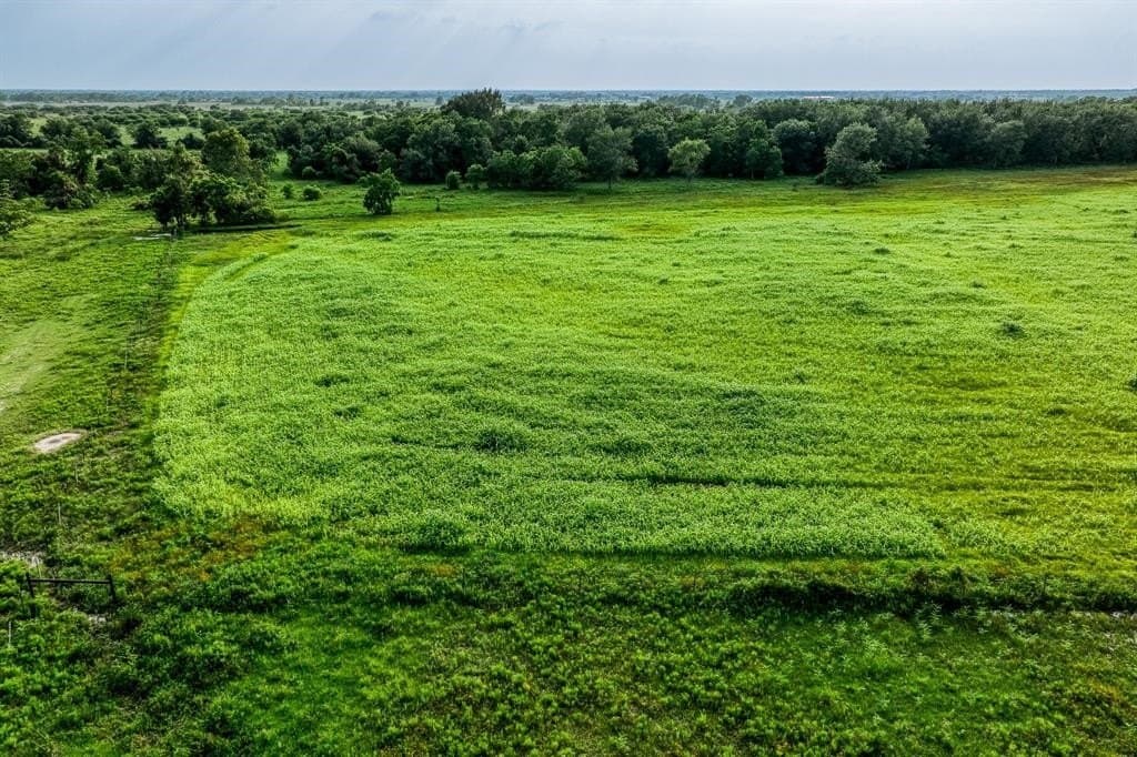 10.01 acres in Waller County - photo 3