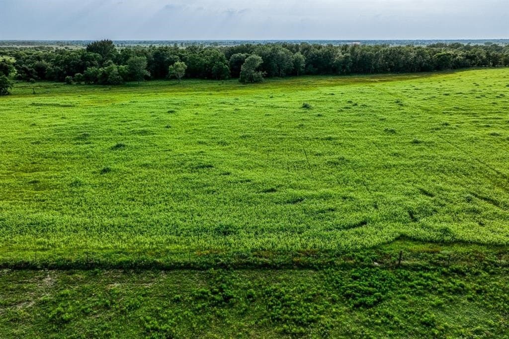 10.01 acres in Waller County - photo 4