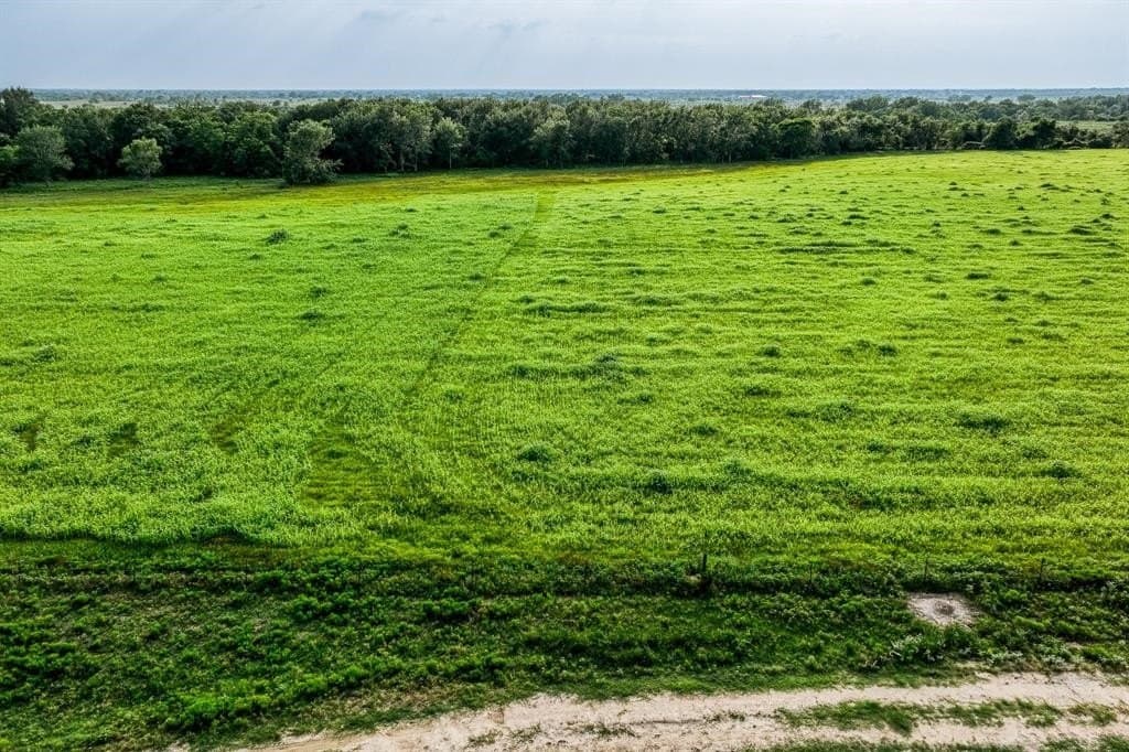 10.01 acres in Waller County - photo 5