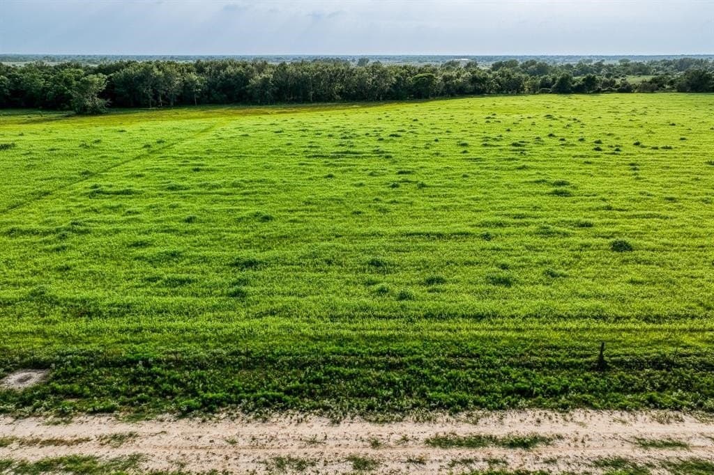10.01 acres in Waller County - photo 6