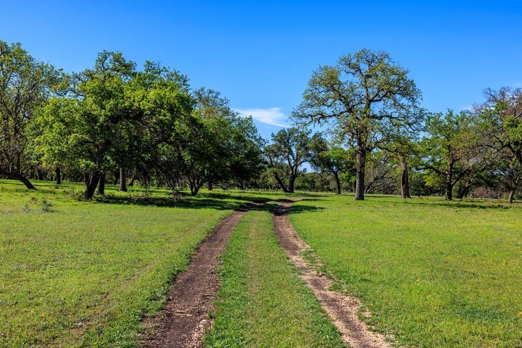 25 acres in Kerr County featured view