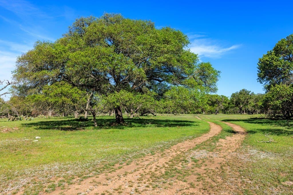 25 acres in Kerr County gallery image 2