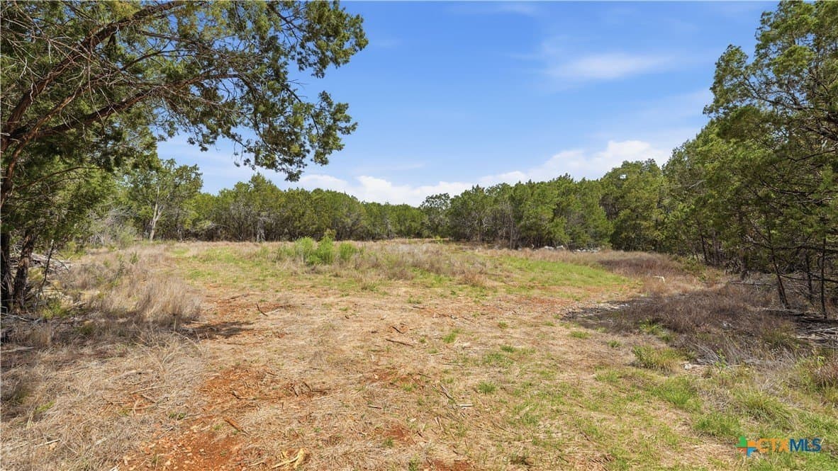 1.49 acres in Comal County - photo 6