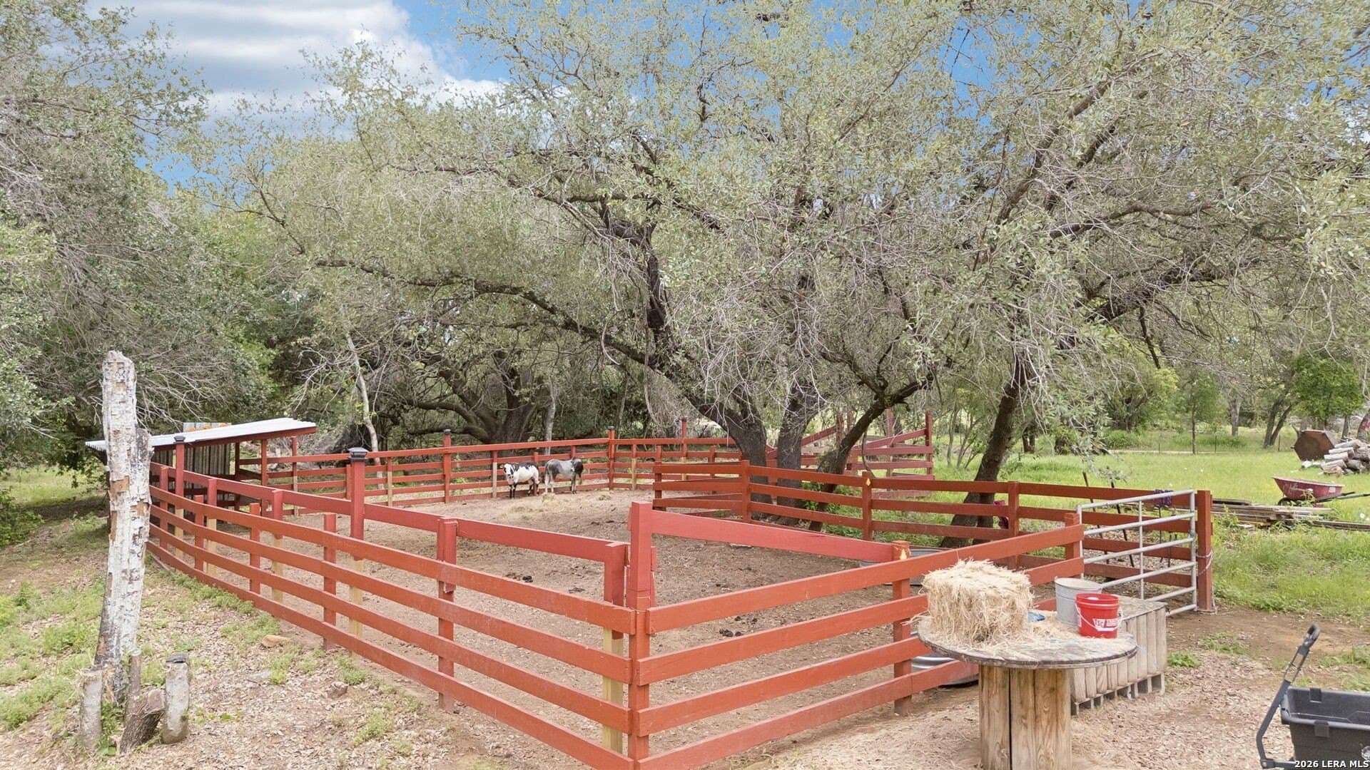 10.6 acres in Atascosa County - photo 18