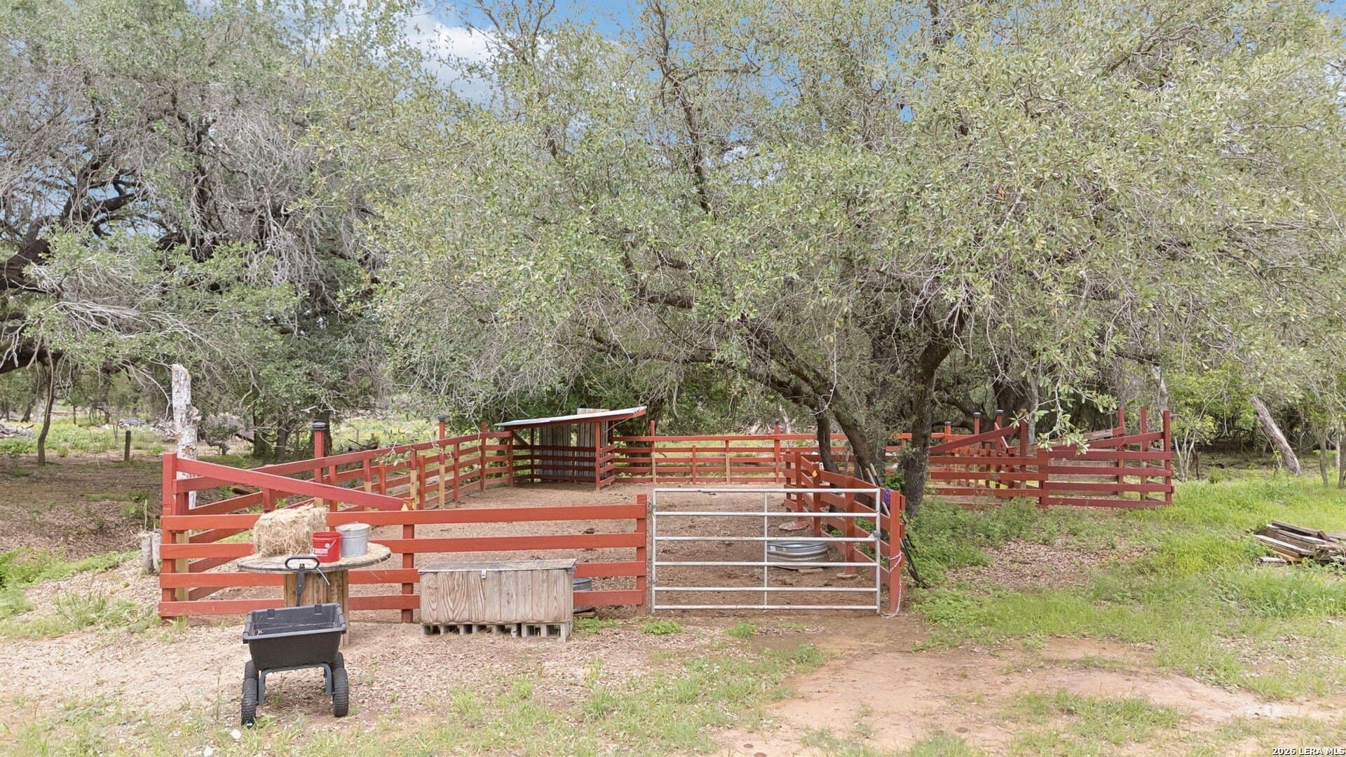 10.6 acres in Atascosa County - photo 19