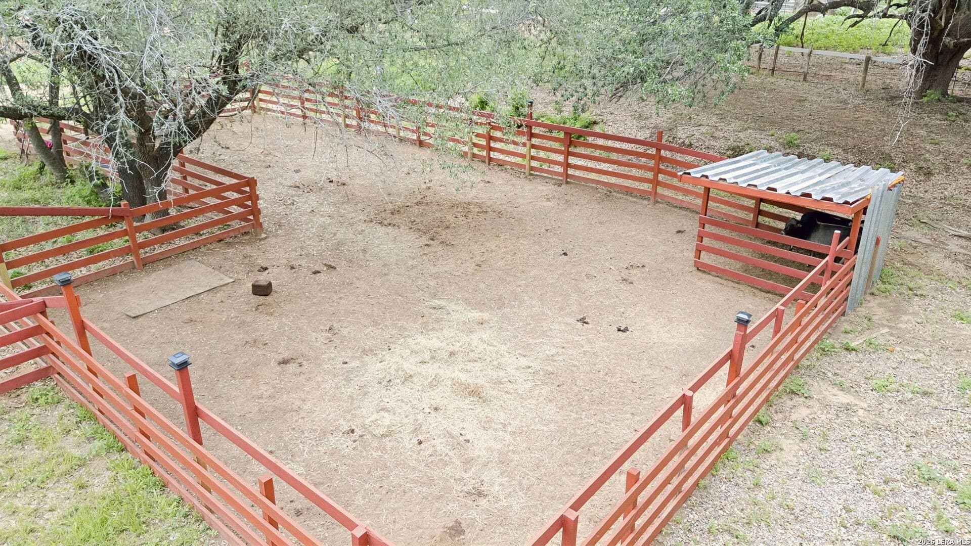 10.6 acres in Atascosa County - photo 17