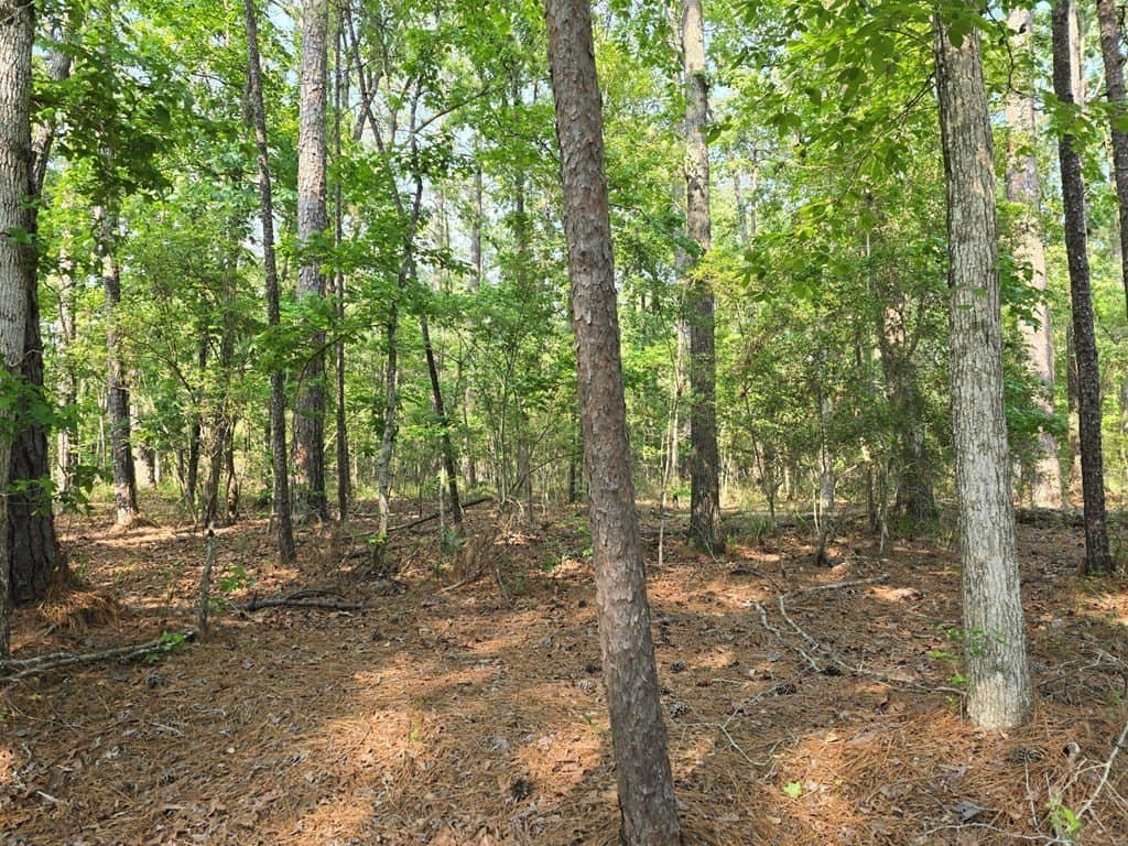 0.24 acres in Texas County gallery image 2