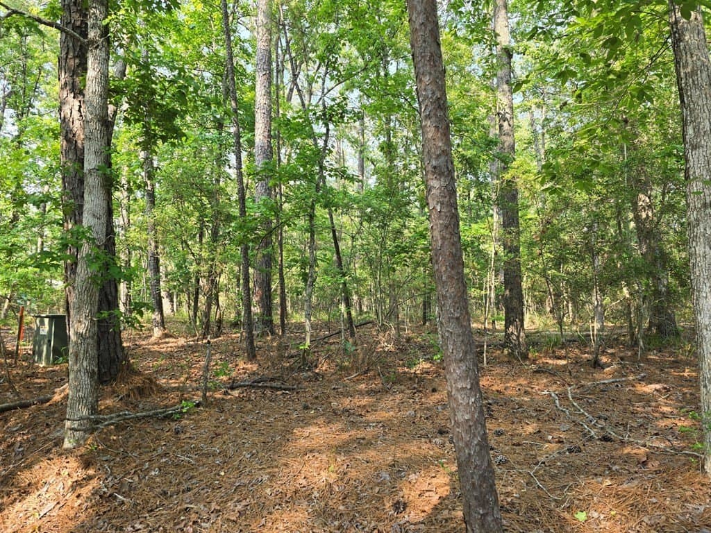 0.24 acres in Texas County gallery image 4