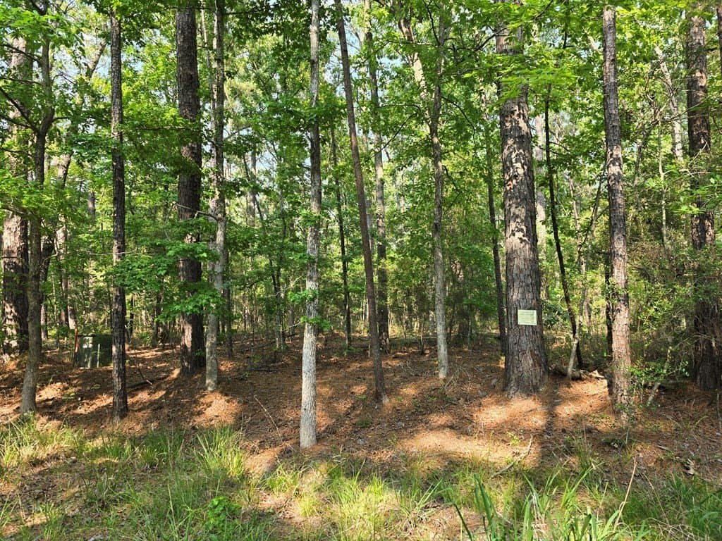 0.24 acres in Texas County gallery image 3