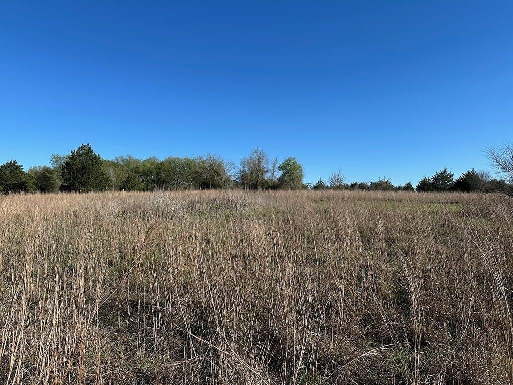 9 acres in Fayette County - photo 16