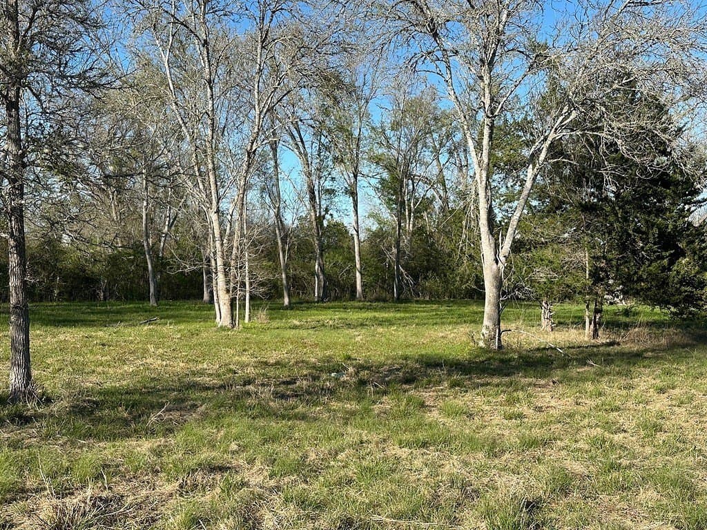 9 acres in Fayette County - photo 6