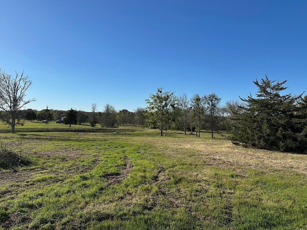 9 acres in Fayette County - photo 17