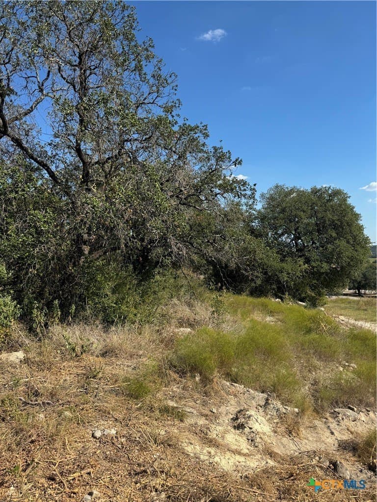 1.09 acres in Bell County gallery image 3
