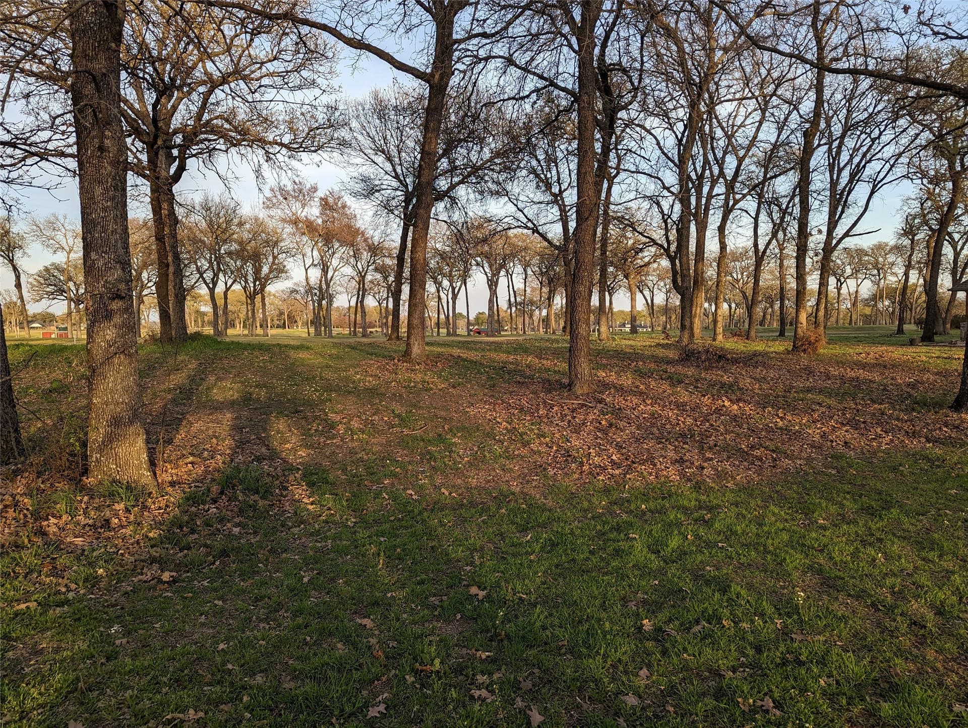 0.37 acres in Kaufman County - photo 7