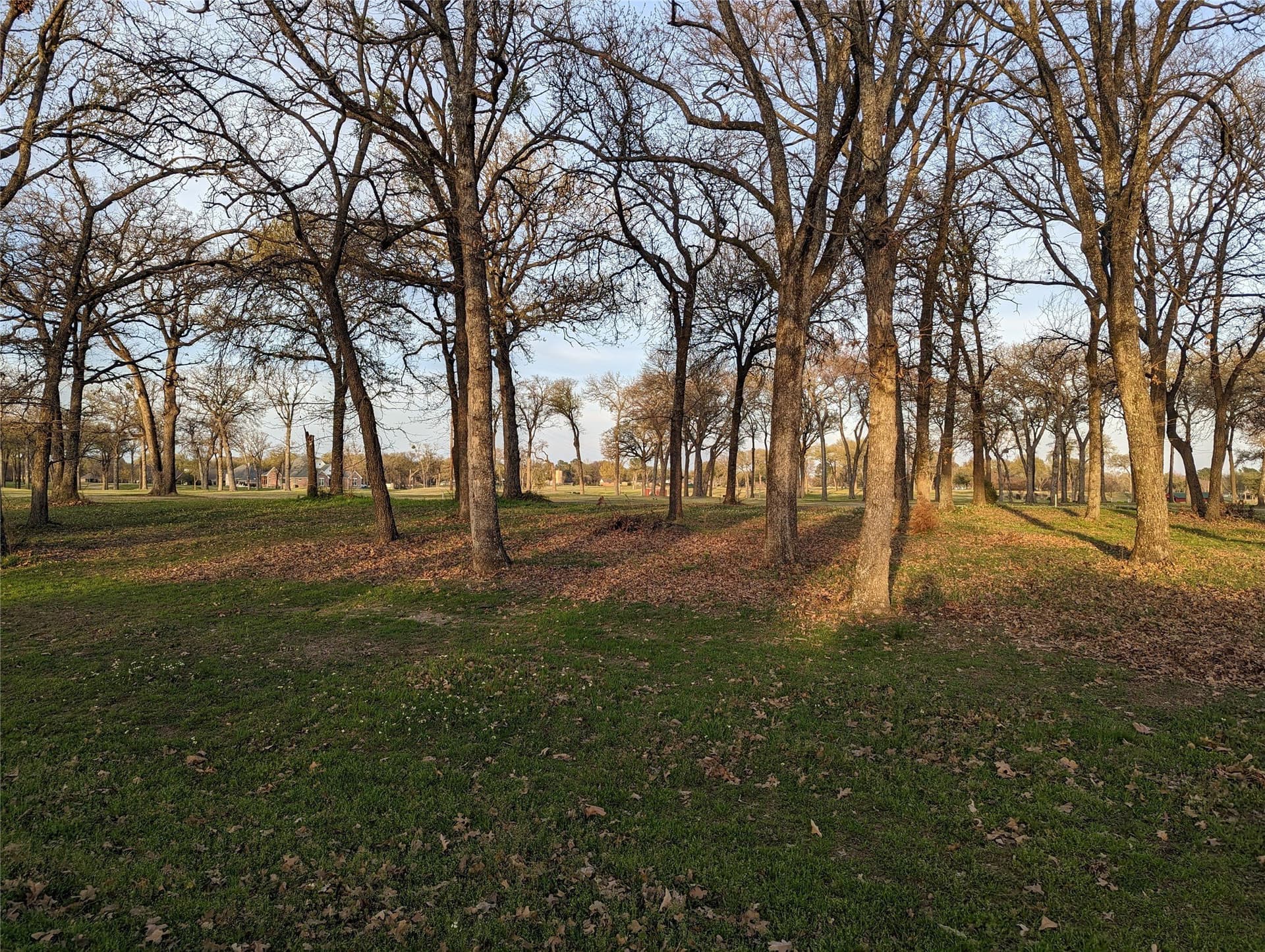 0.37 acres in Kaufman County - photo 8