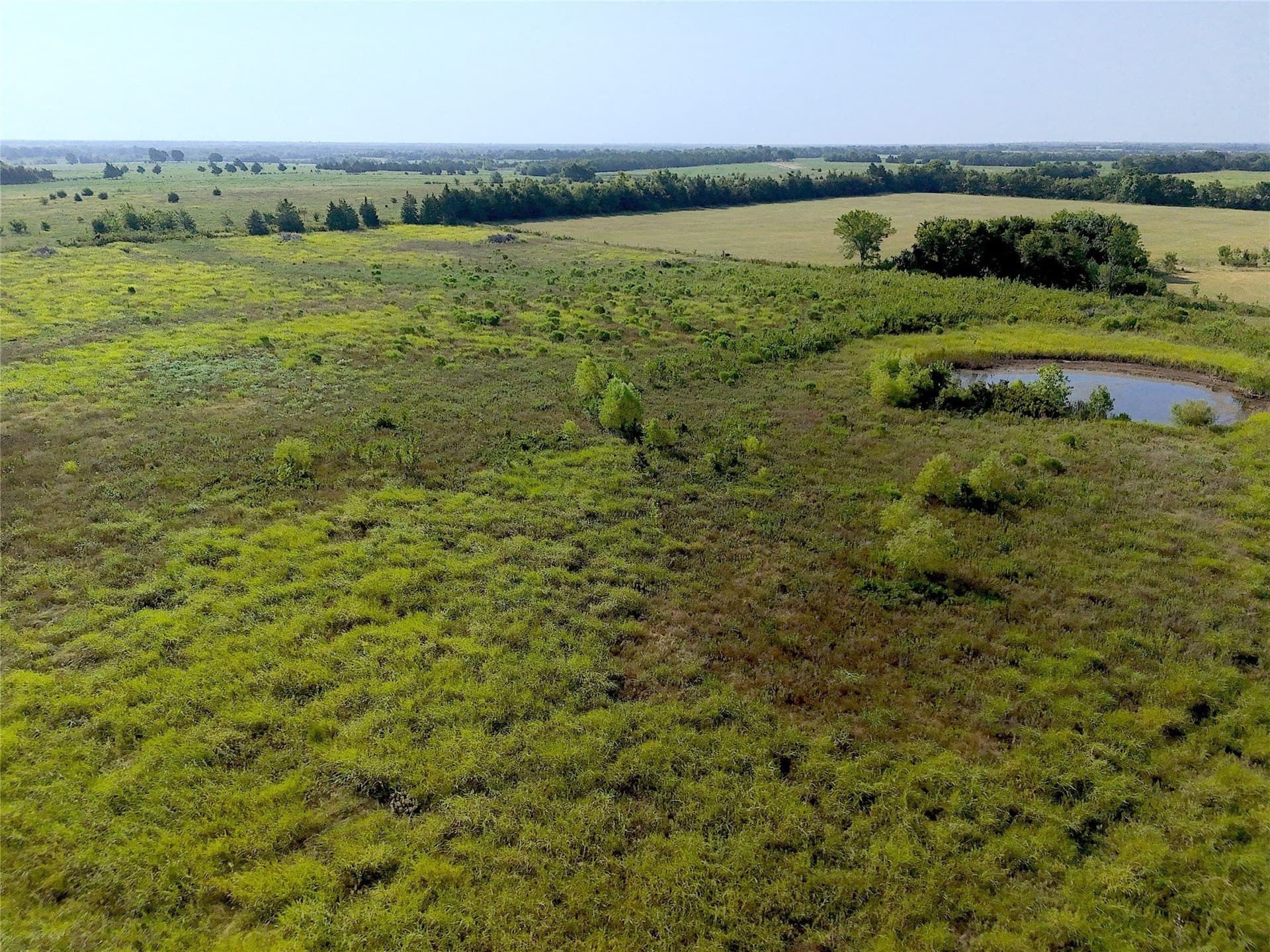 18.86 acres in Lamar County gallery image 4