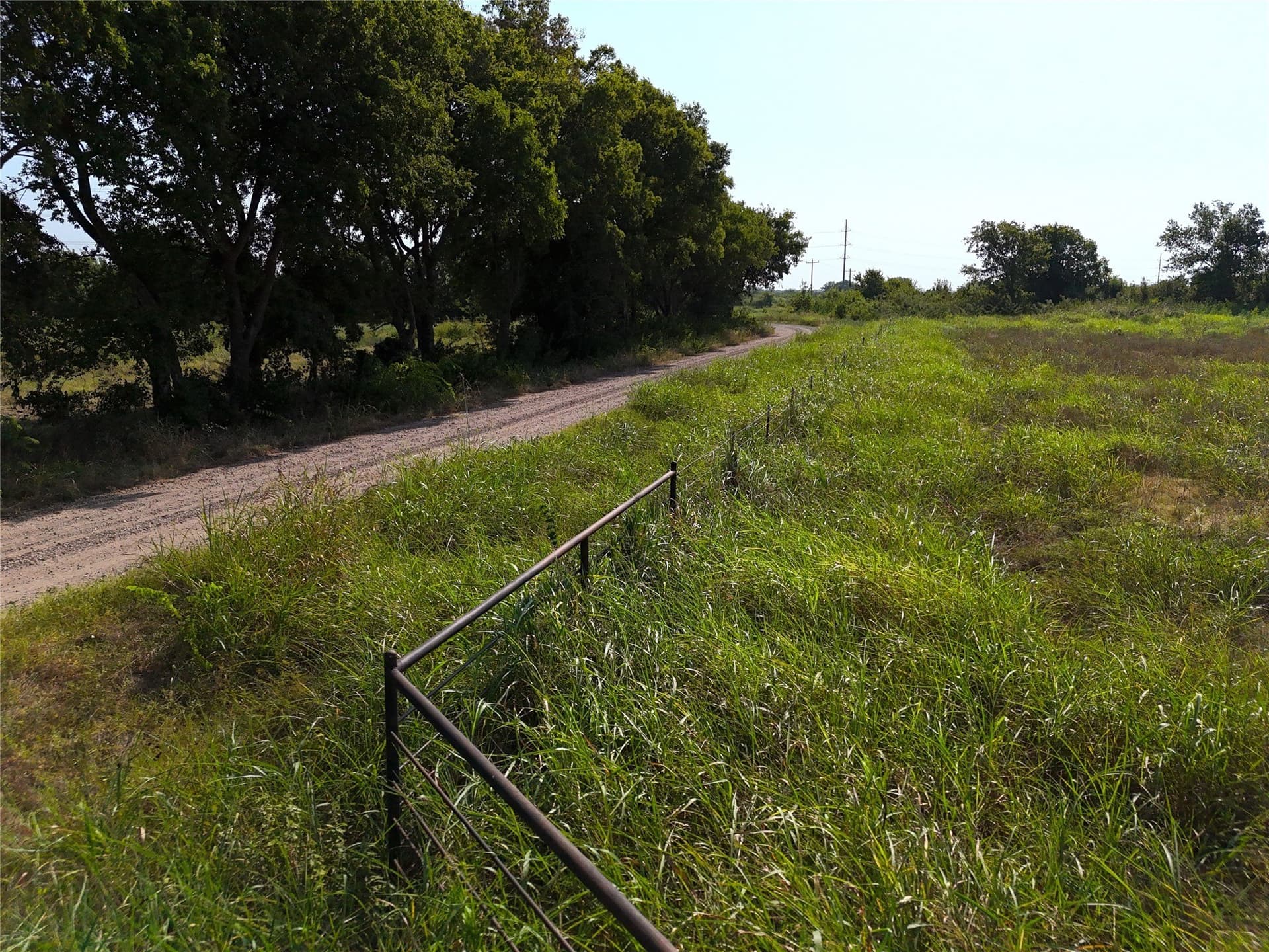 18.86 acres in Lamar County gallery image 3