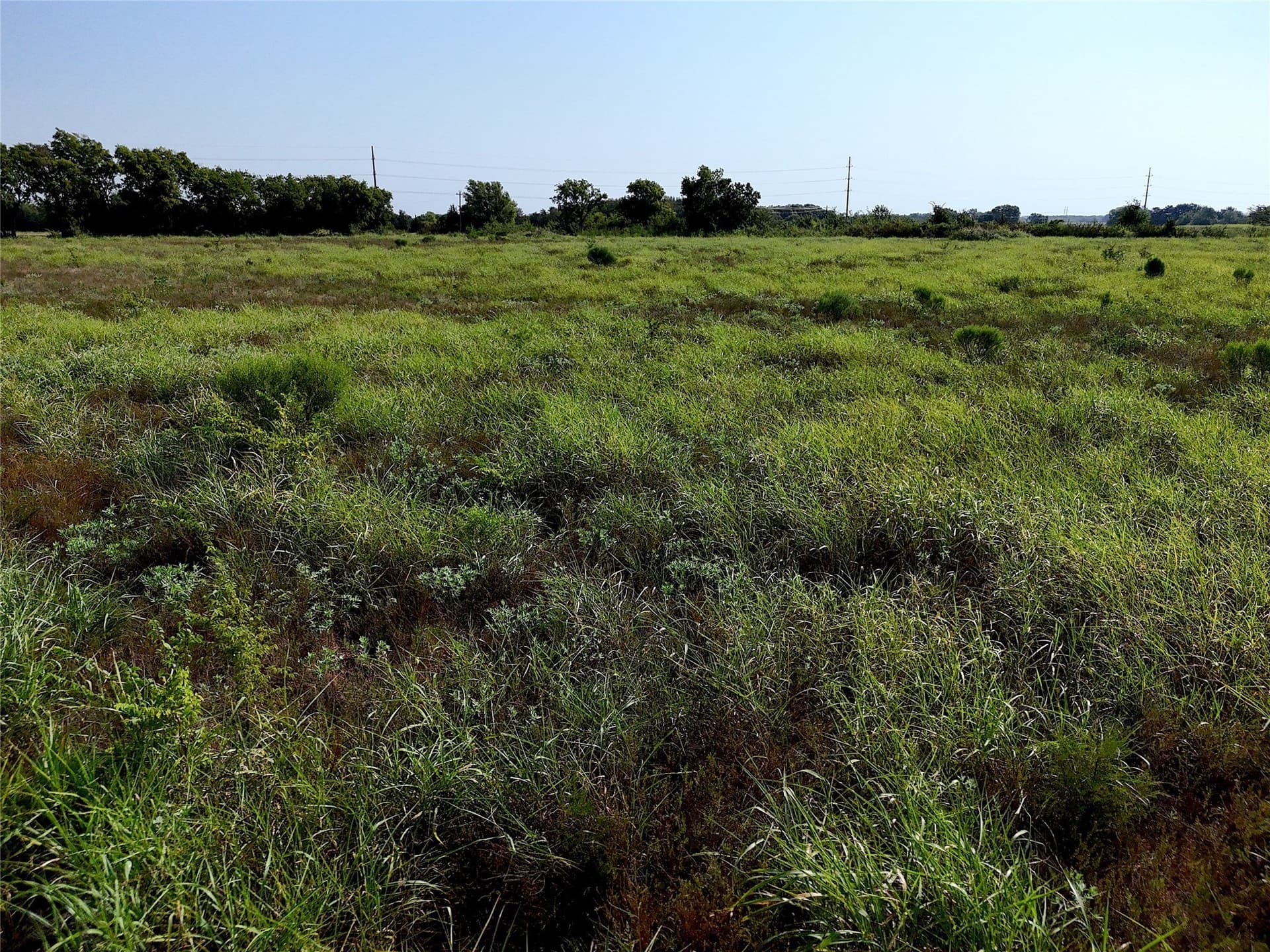 18.86 acres in Lamar County - photo 10
