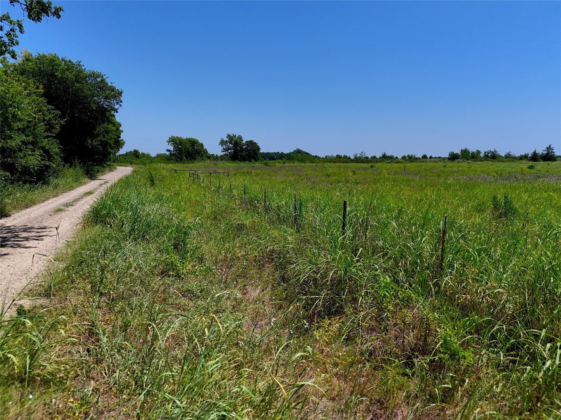 18.86 acres in Lamar County - photo 8