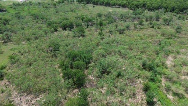5.1 acres in Navarro County - photo 6