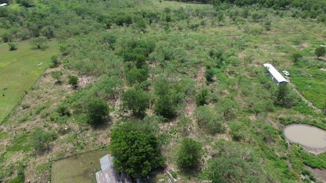 5.1 acres in Navarro County - photo 5