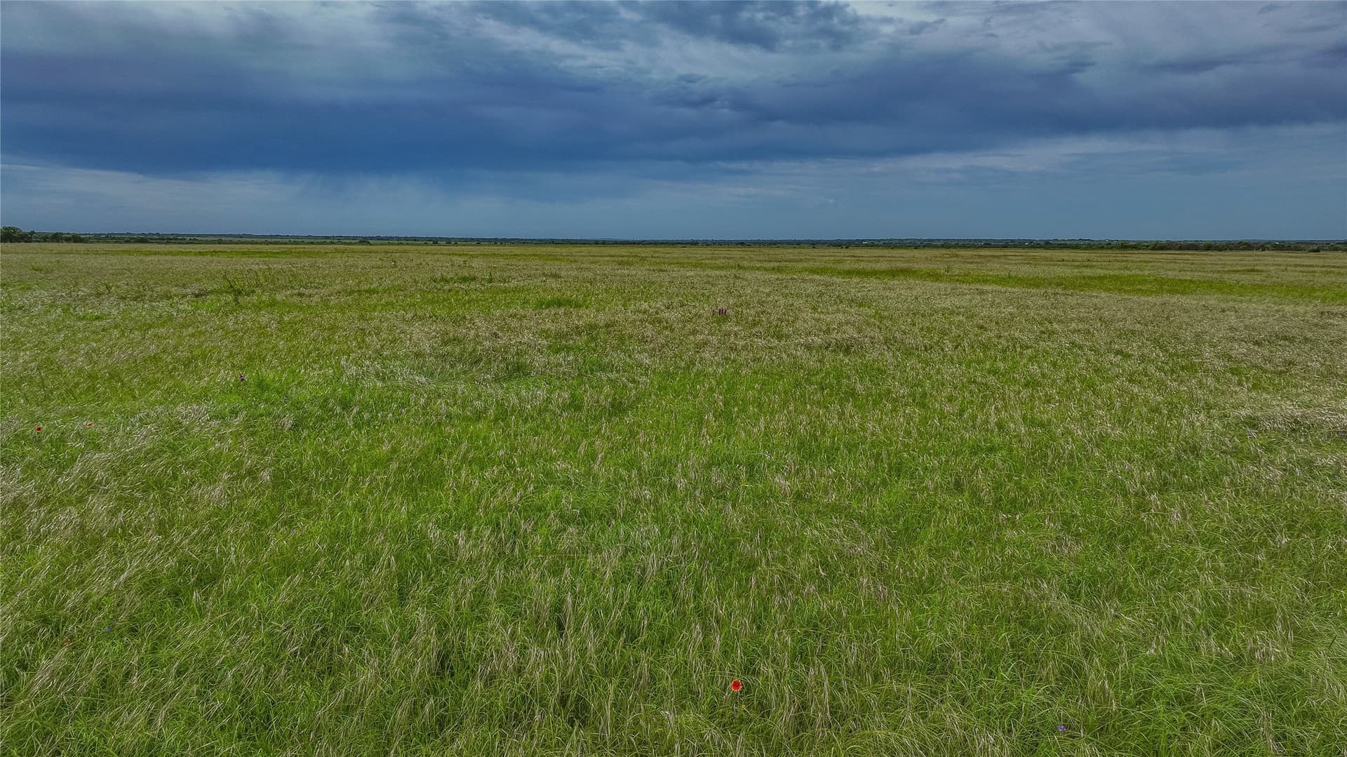 283.98 acres in McCulloch County - photo 4