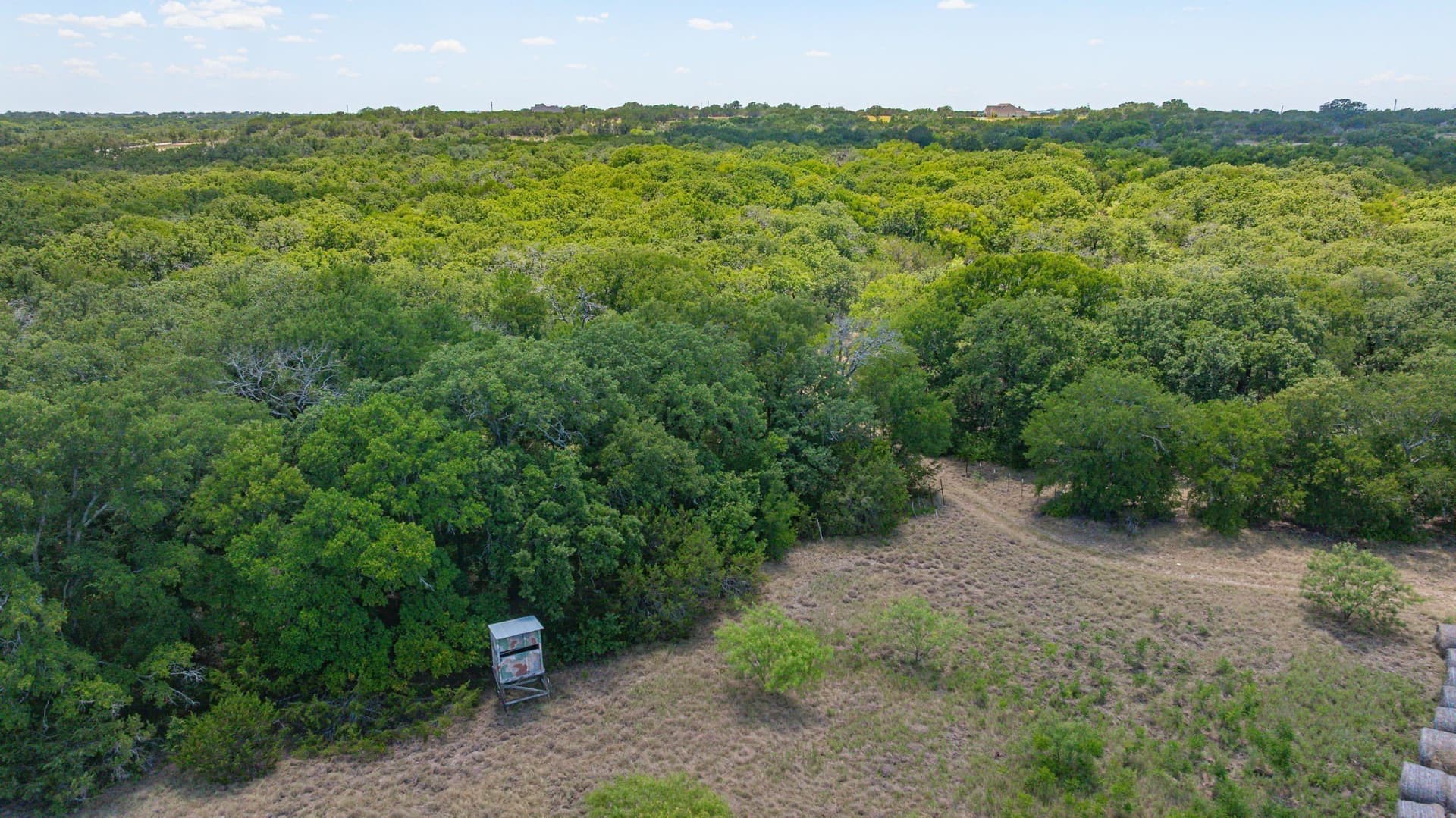 160.62 acres in Erath County - photo 14