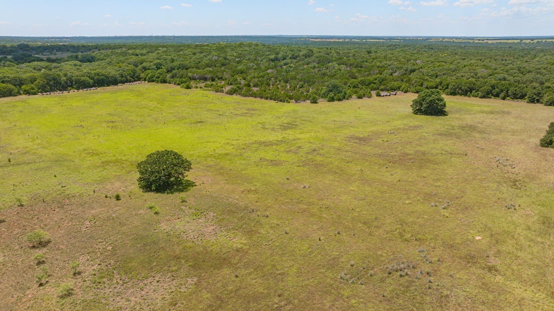 160.62 acres in Erath County - photo 8