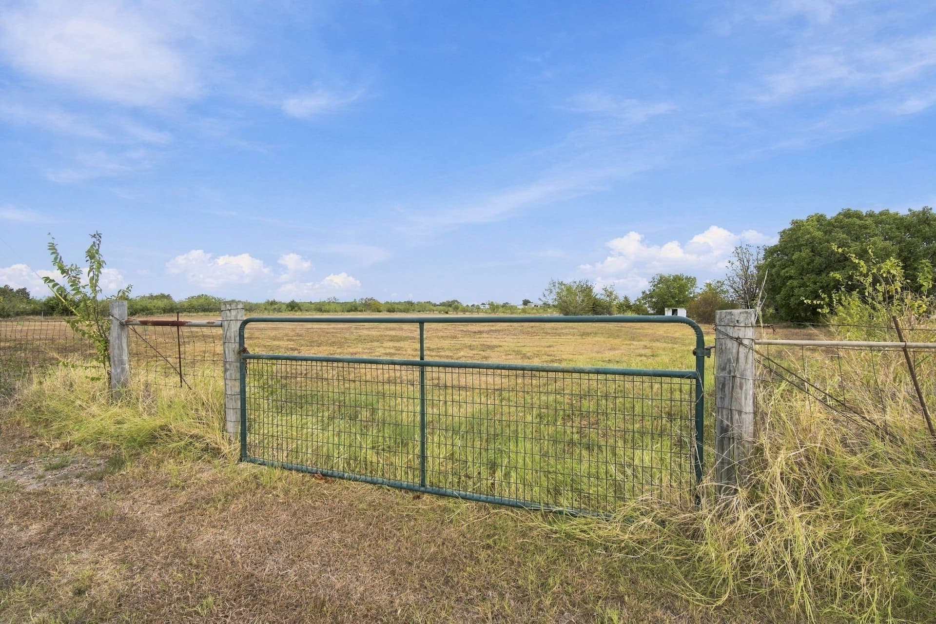 3 acres in Ellis County - photo 3