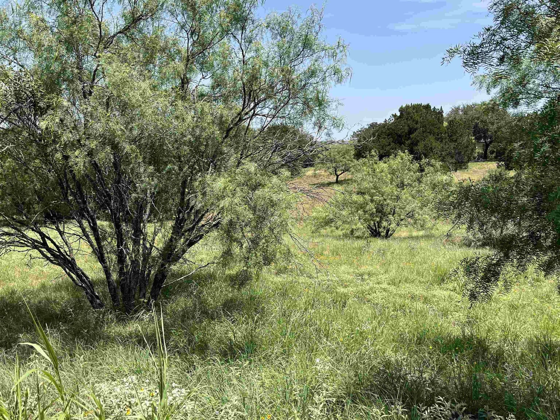0.25 acres in Llano County - photo 3