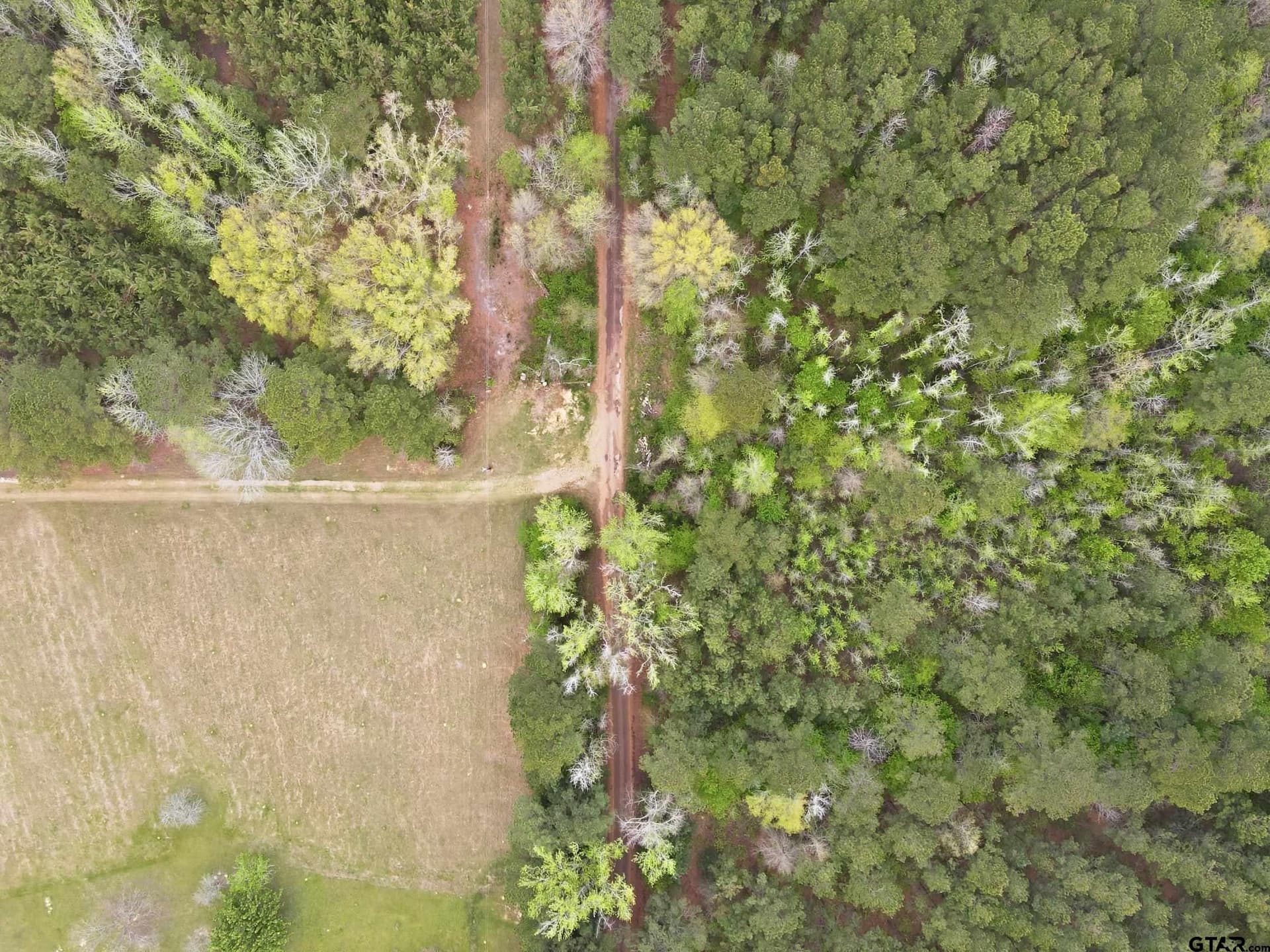 30 acres in Cass County gallery image 3