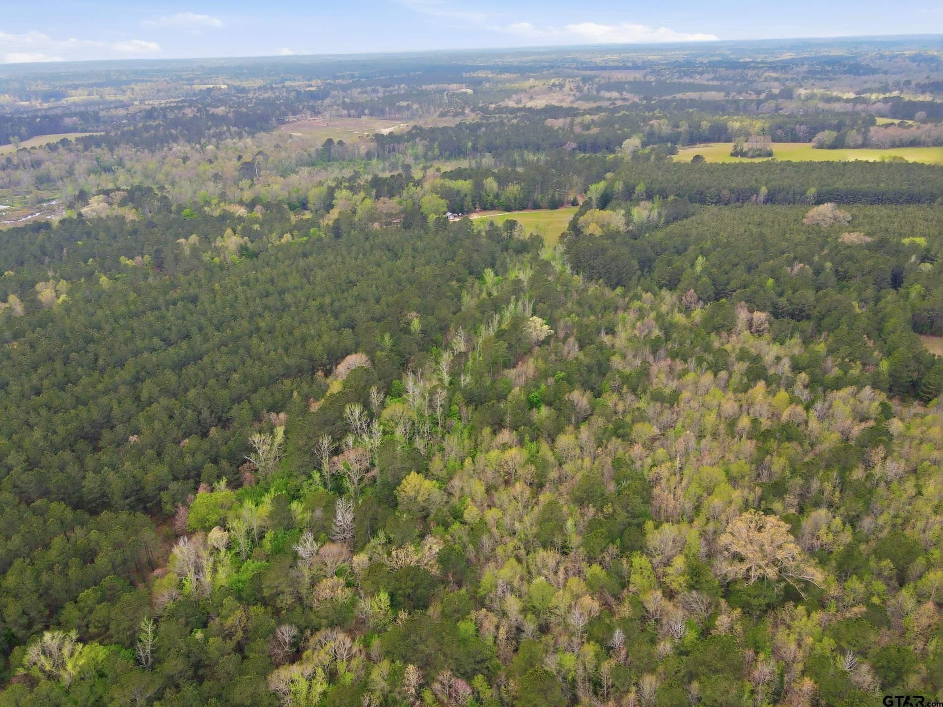 30 acres in Cass County gallery image 4