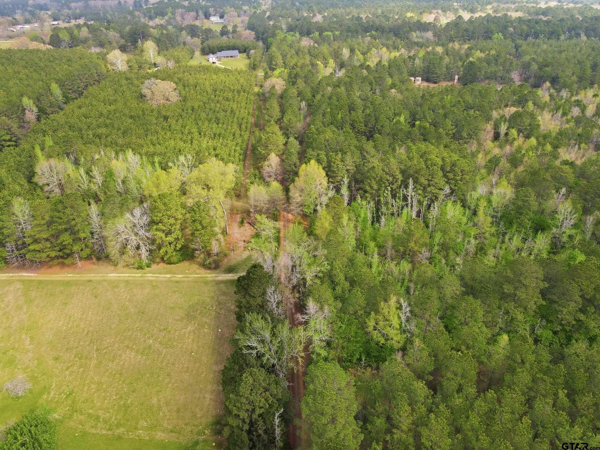 30 acres in Cass County featured view