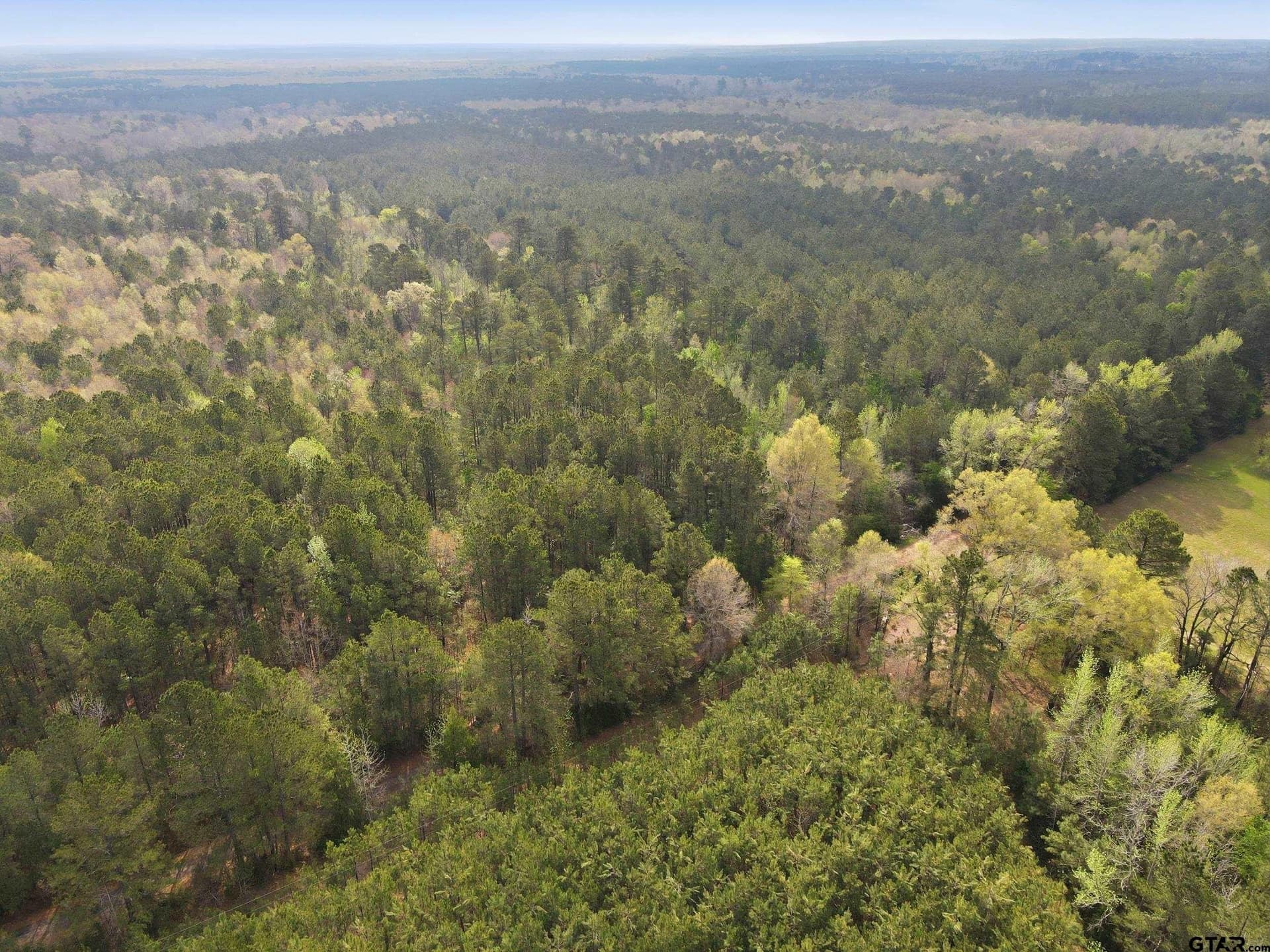 30 acres in Cass County gallery image 2