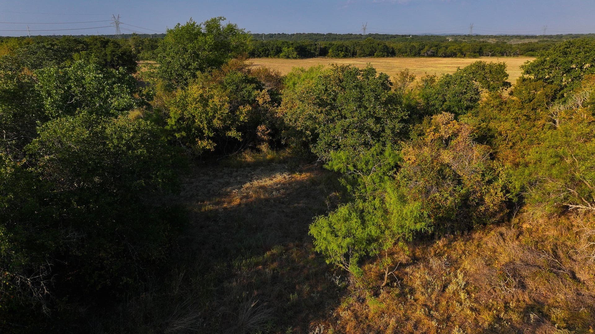 39.67 acres in Young County - photo 35