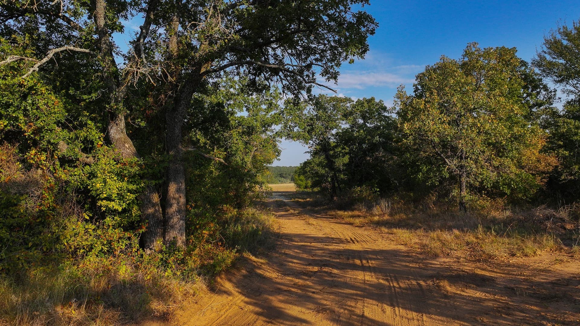 39.67 acres in Young County - photo 33
