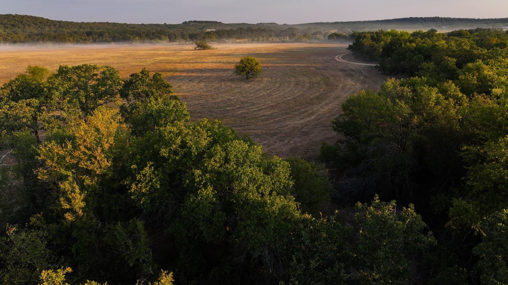 39.67 acres in Young County - photo 4