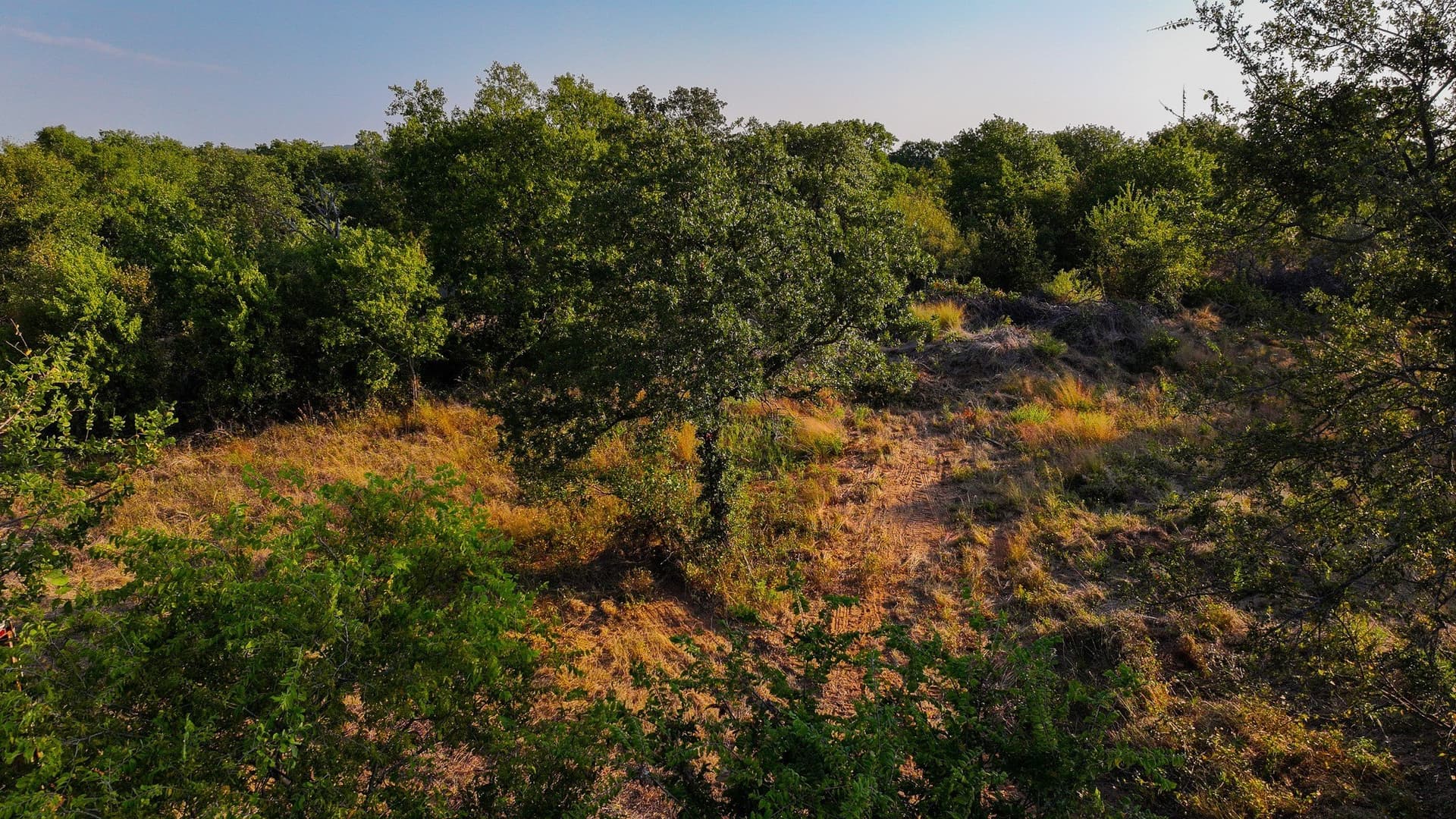 39.67 acres in Young County - photo 31