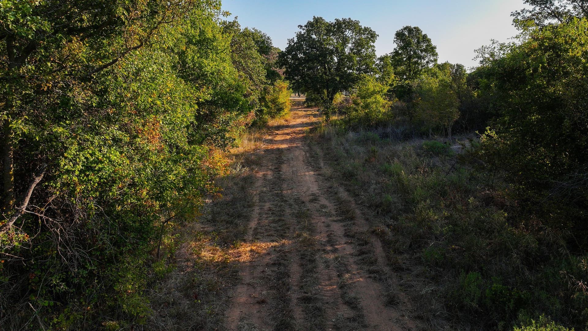 39.67 acres in Young County - photo 32