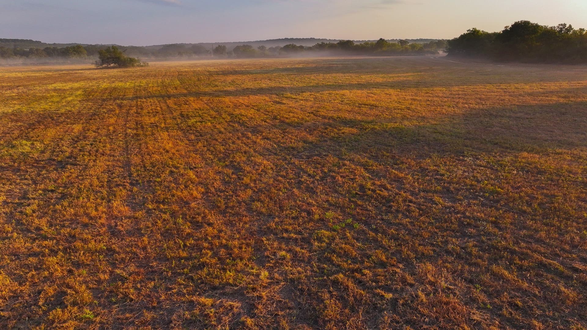39.67 acres in Young County - photo 25