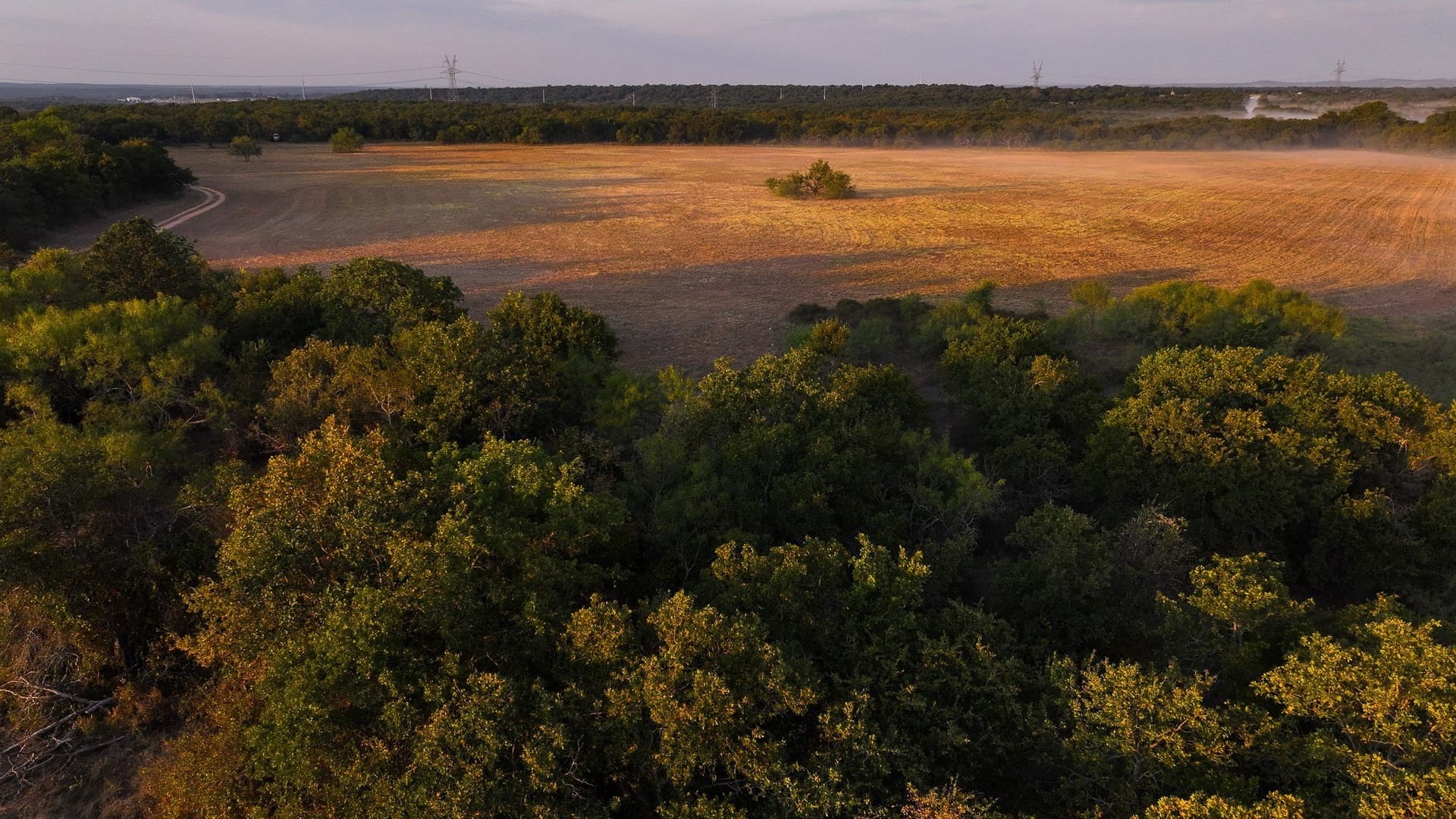 39.67 acres in Young County - photo 20