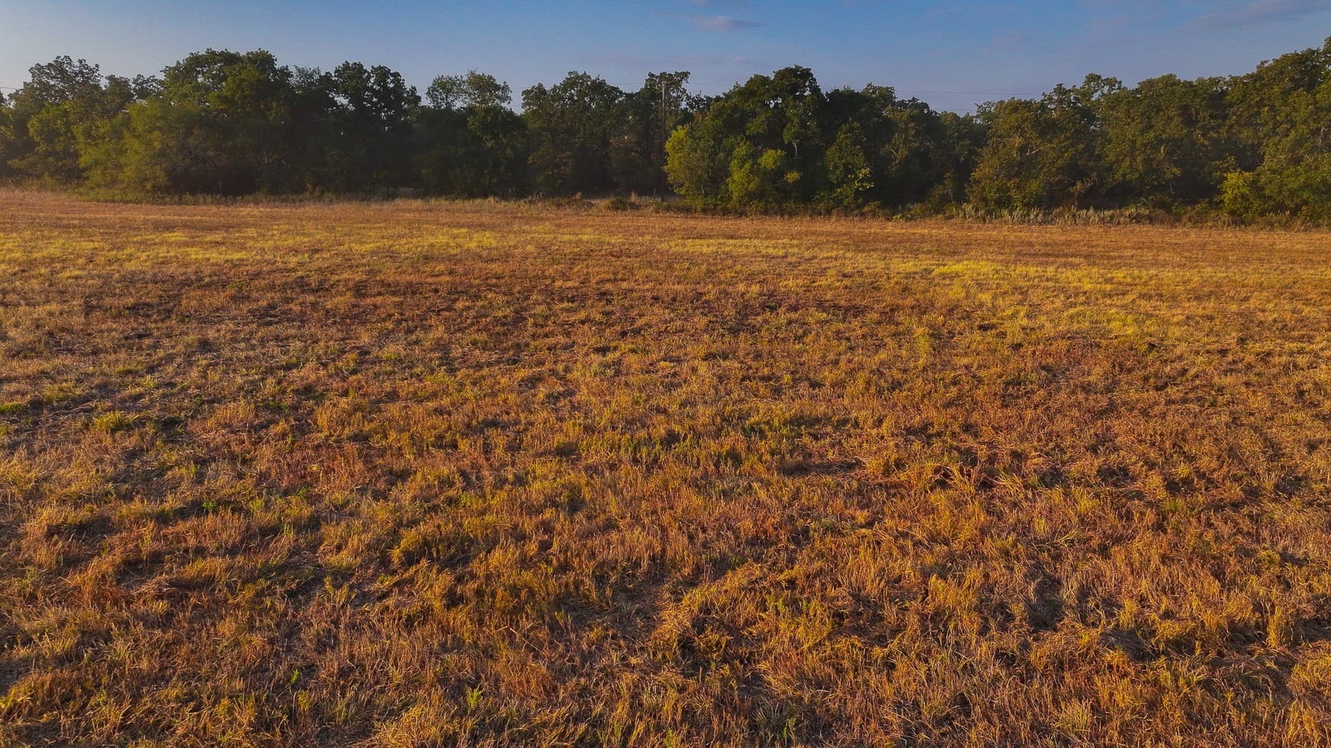 39.67 acres in Young County - photo 30