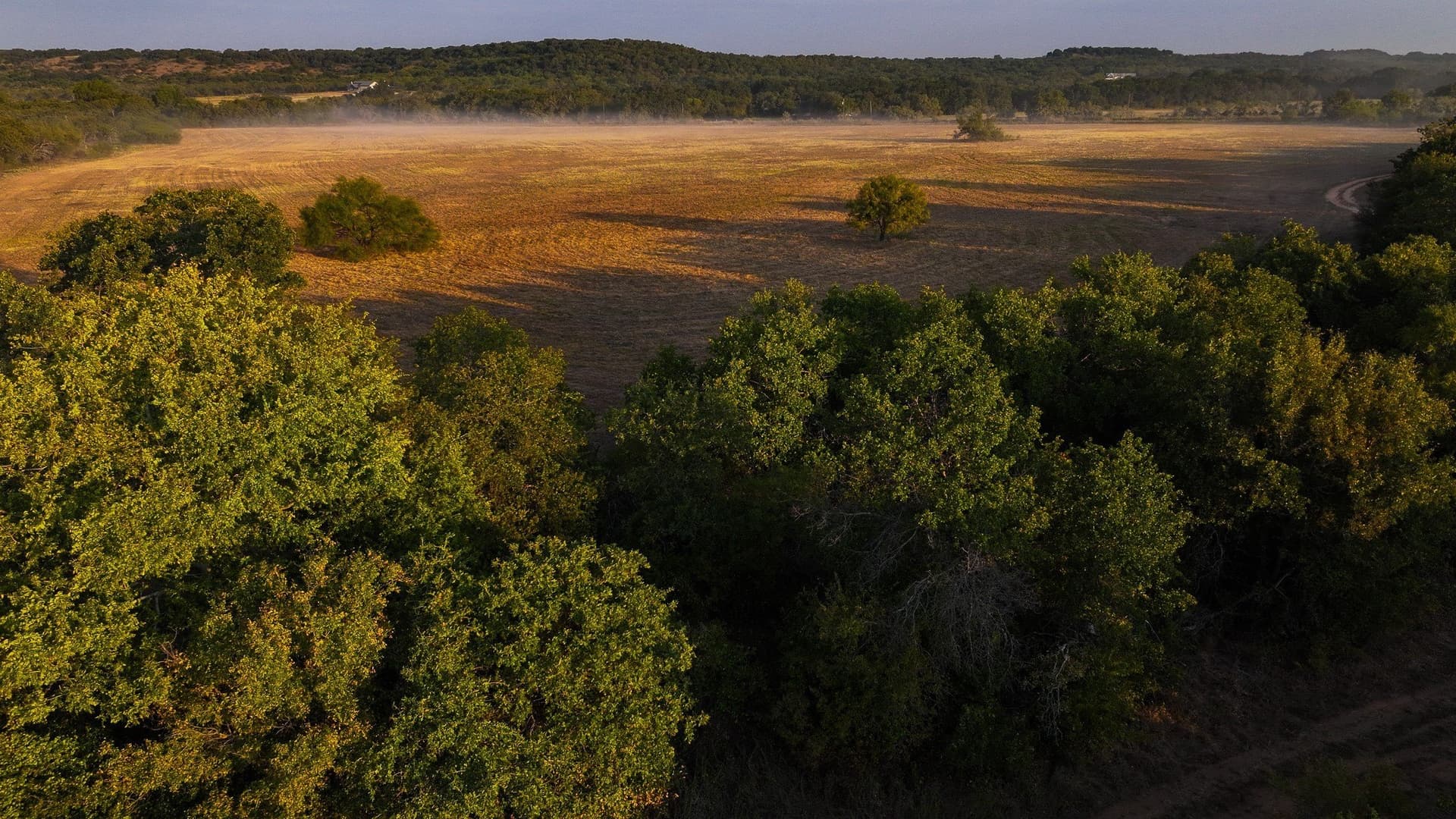 39.67 acres in Young County - photo 2