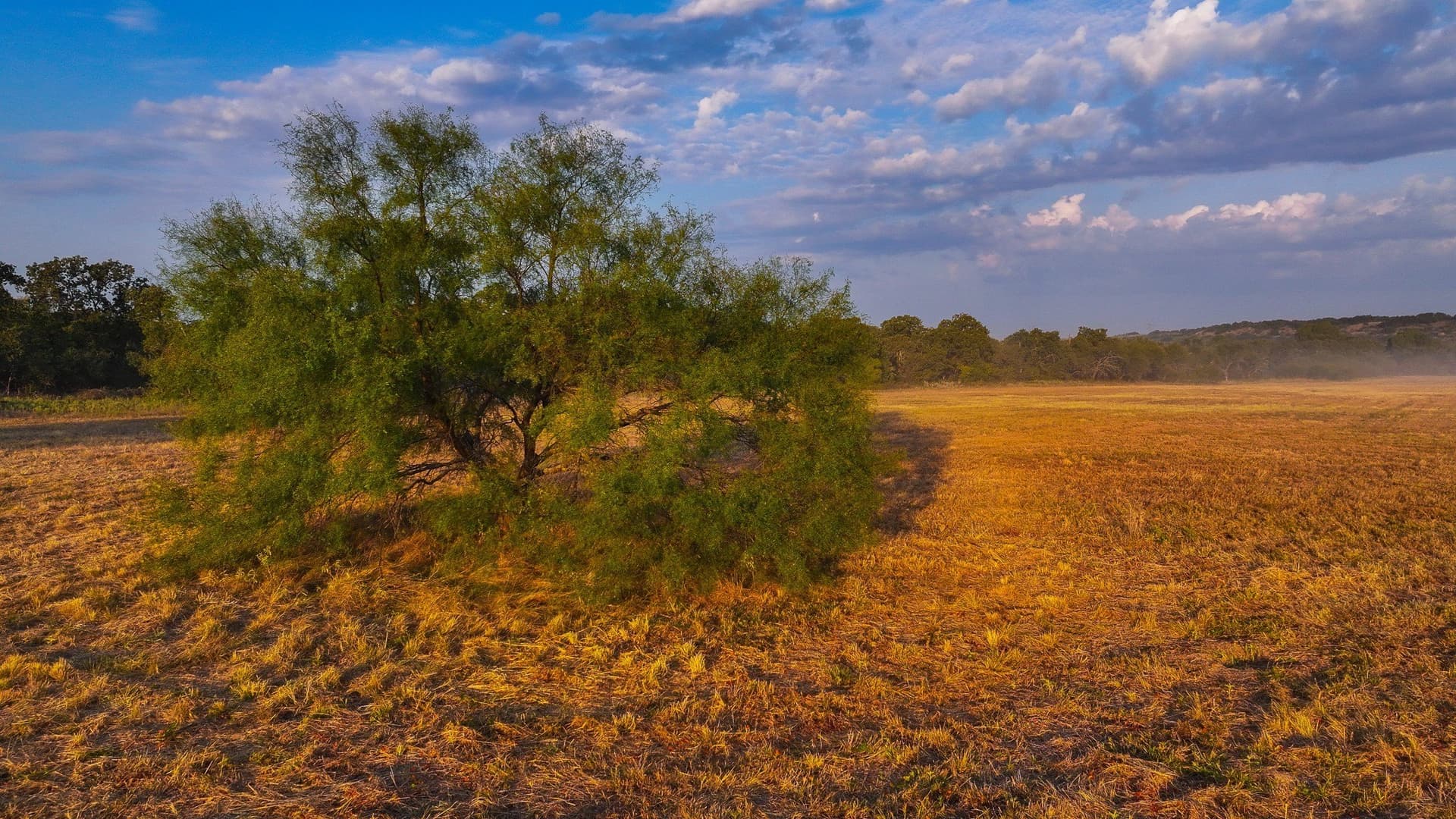 39.67 acres in Young County - photo 28