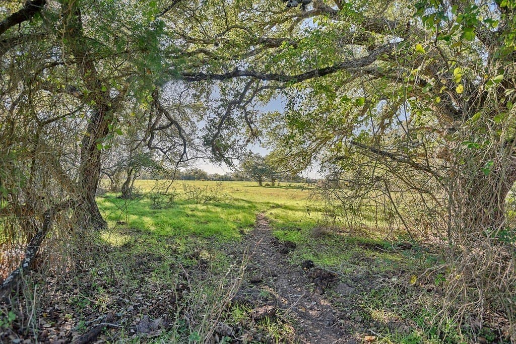 276.92 acres in Lee County - photo 11