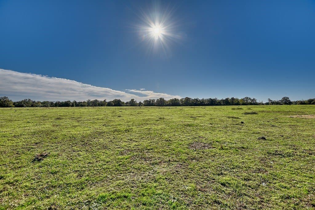 276.92 acres in Lee County - photo 9
