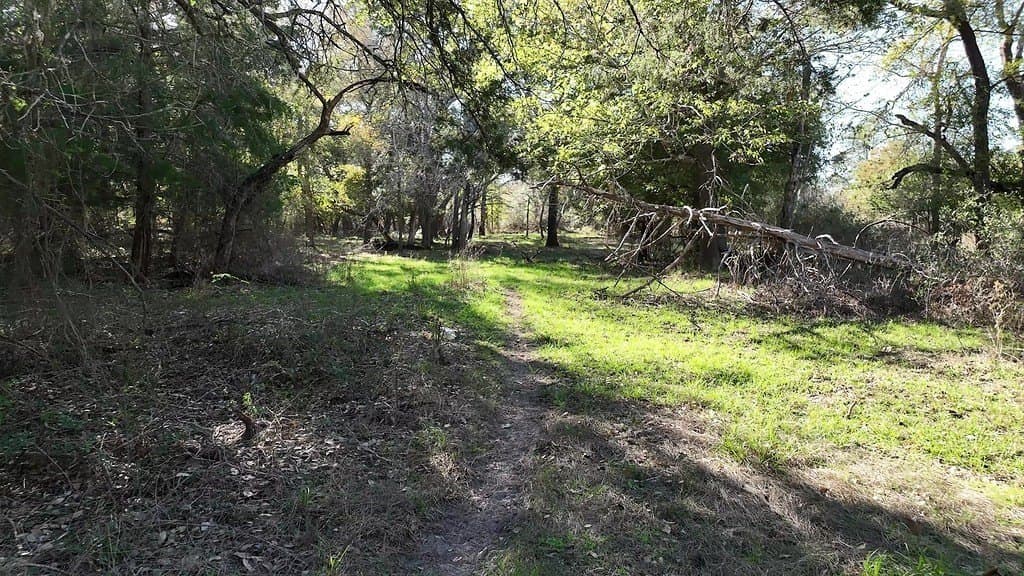 276.92 acres in Lee County - photo 12